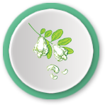 logo-greenlam